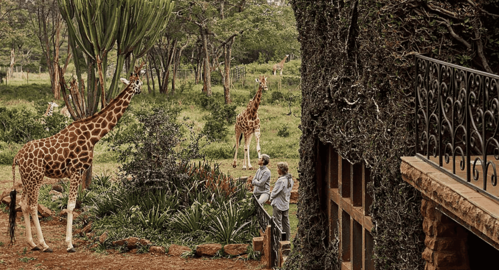 LXURI - Book Giraffe Manor with Tablet Hotels - Discover Luxury Travel