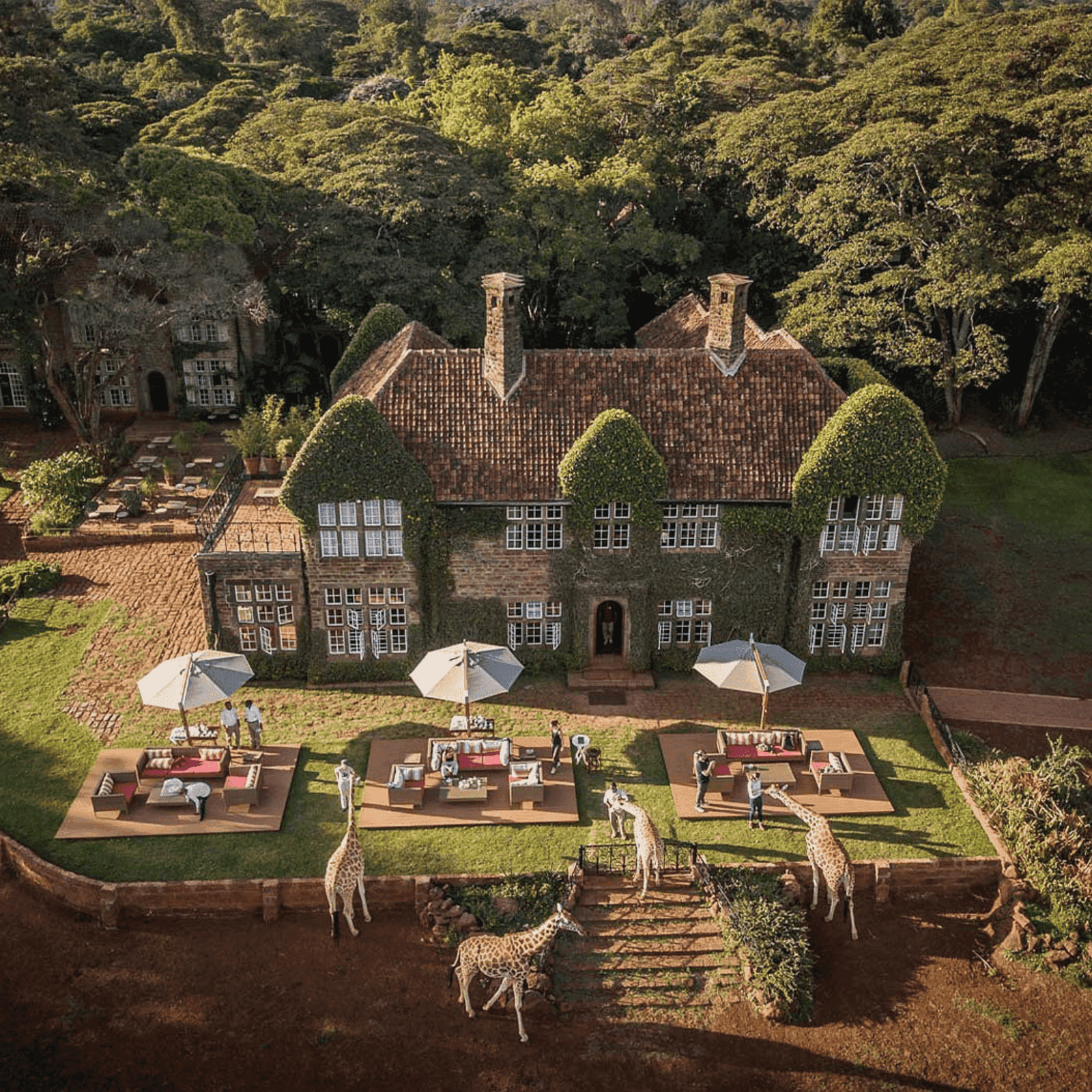 Giraffe Manor: A Luxury Safari Stay Like No Other by LXURI