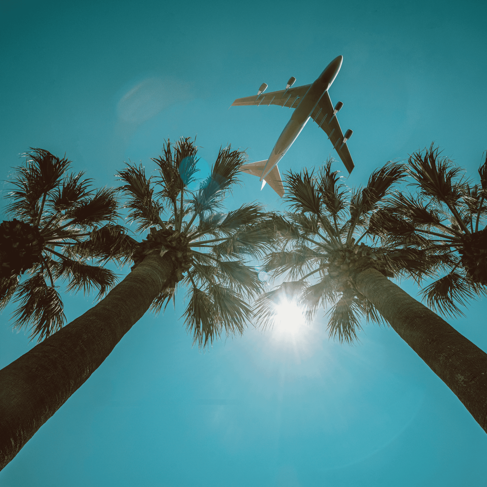 How to Book Flights on Expedia: Tools, Tips, and Savings - LXURI Journey