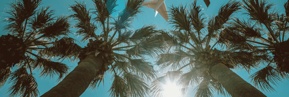 How to Book Flights on Expedia: Tools, Tips, and Savings - LXURI Journey