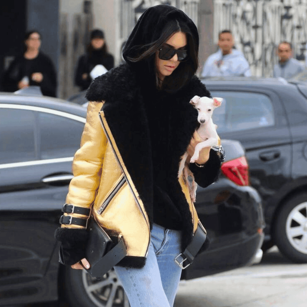 LXURI - Kendall Jenner Wearing House of Sunny
