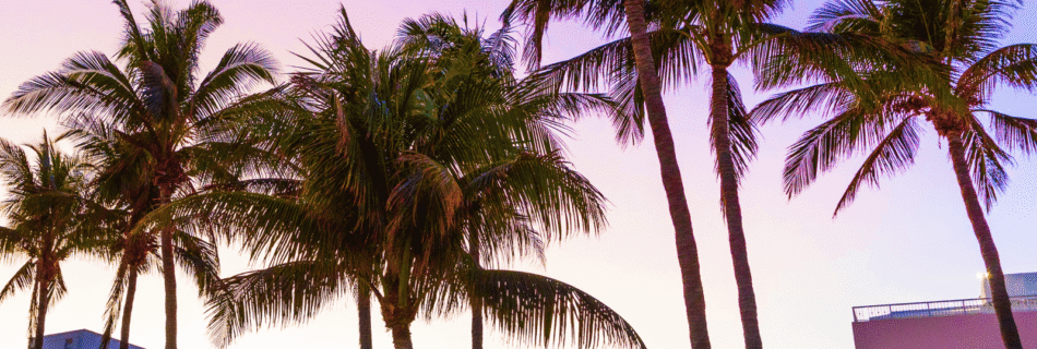 Miami City Guide: Luxury Travel, Dining, Art & Culture by LXURI