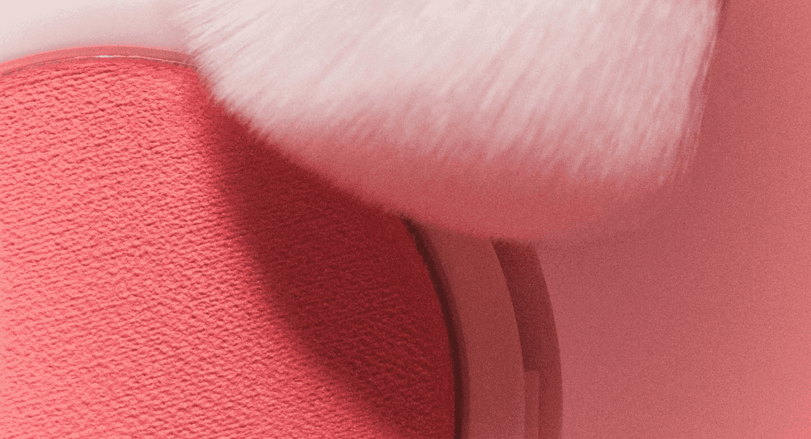 Kylie Cosmetics Face: The Ultimate Guide to a Flawless Glow | Beauty Blog by LXURI