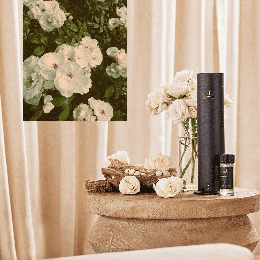 LXURI - Design and Aesthetic: Luxury Meets Minimalism - Hotel Collection