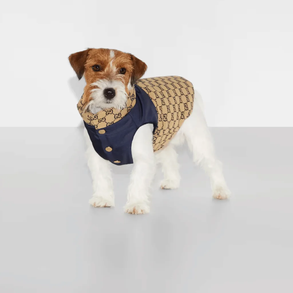 Gucci Pet Collection: Iconic Heritage Meets Playful Elegance