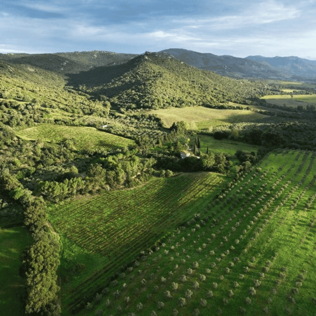 LXURI - A Mandria di Murtoli – Corsica, France - Book Now 