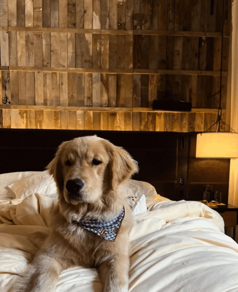 1 Hotels - Beautiful Design Inspired by Nature | LXURI Travel Blog