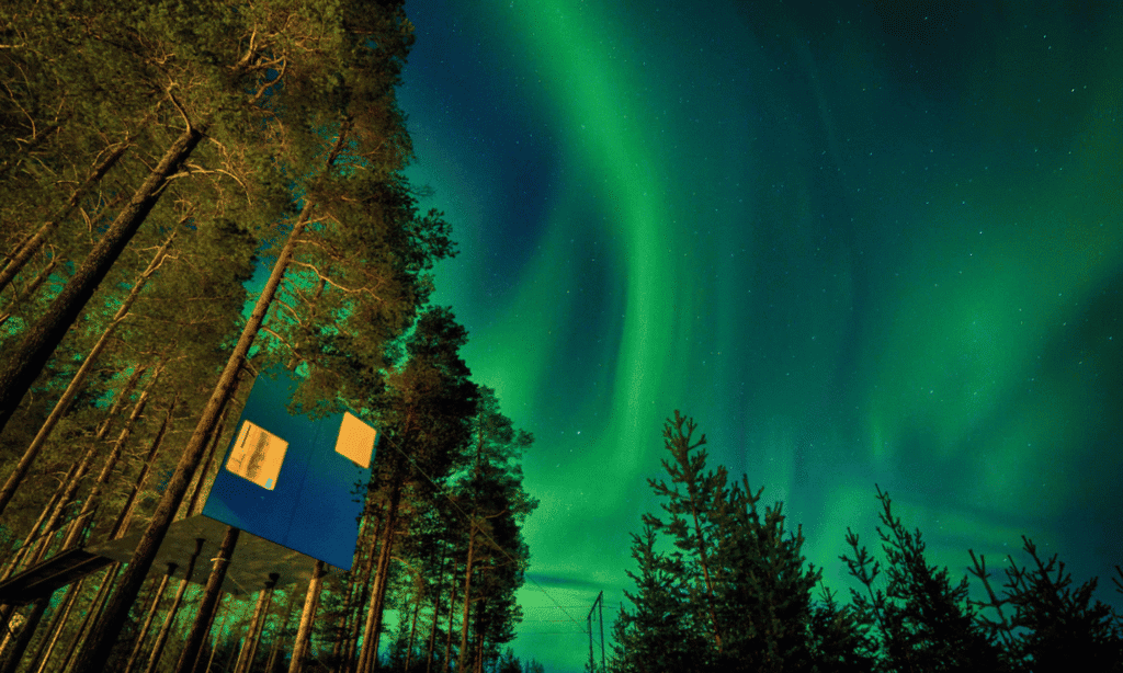 The Most Unique Hotels in the World- Treehotel, Sweden | LXURI 