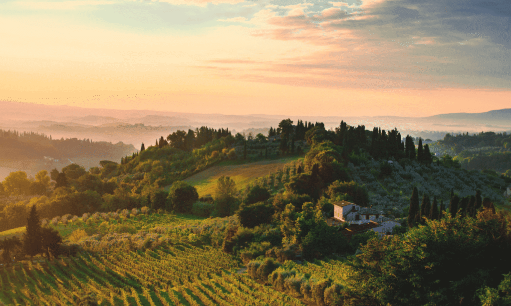 LXURI TraveL Blog | Luxury hotel surrounded by Tuscan vineyards
