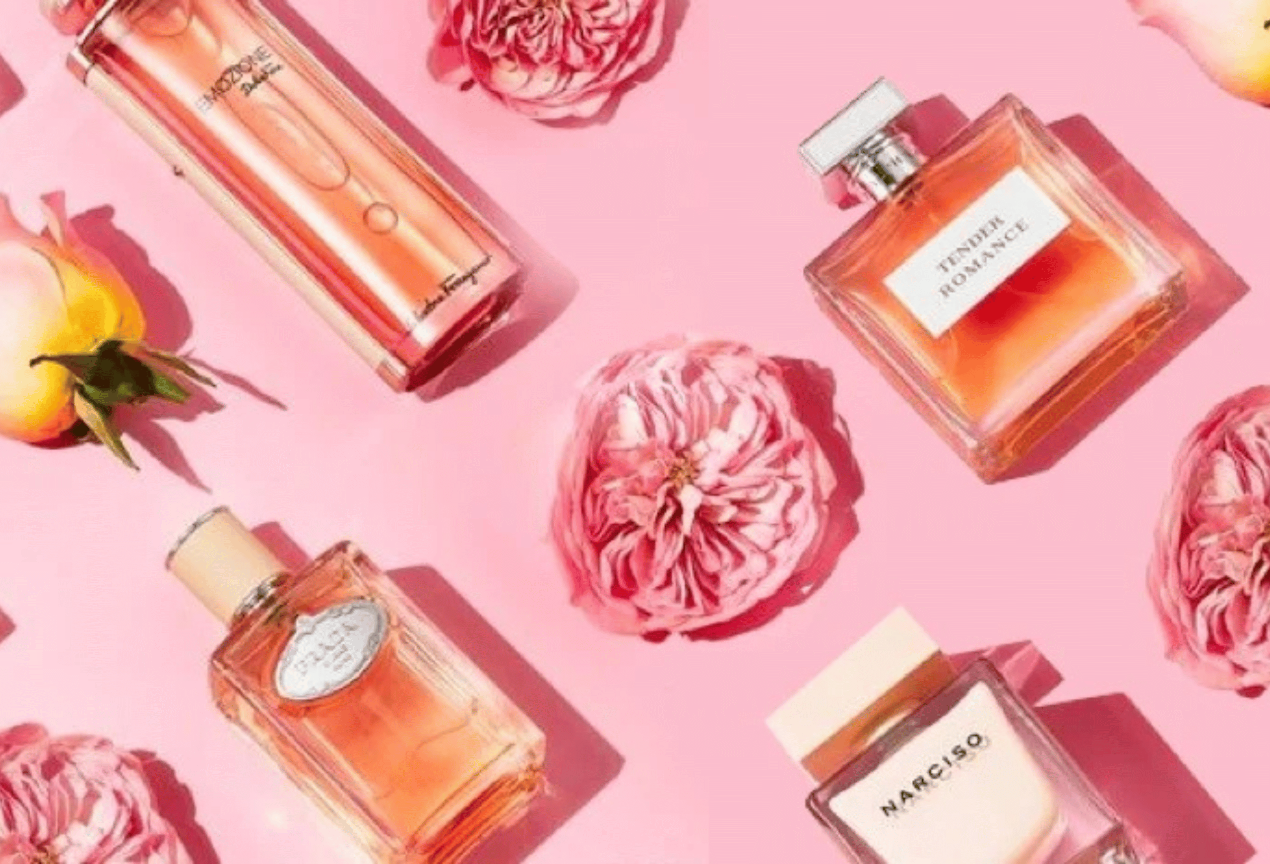Discover Perfumania Fragrances & Shop Today | LXURI Beauty