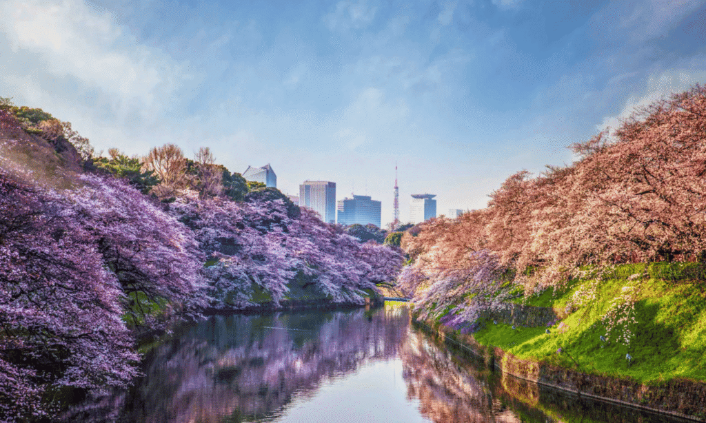 Four Seasons Hotel Tokyo At Otemachi | Water View | LXURI Travel