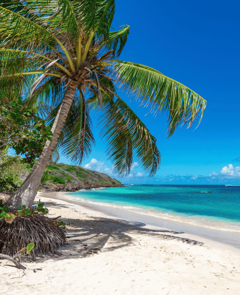 Explore The Top 10 Luxury Hotels in the Bahamas - Expedia